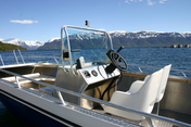 Dyrøy boat 2 - 19ft/50 hp chartplotter/GF